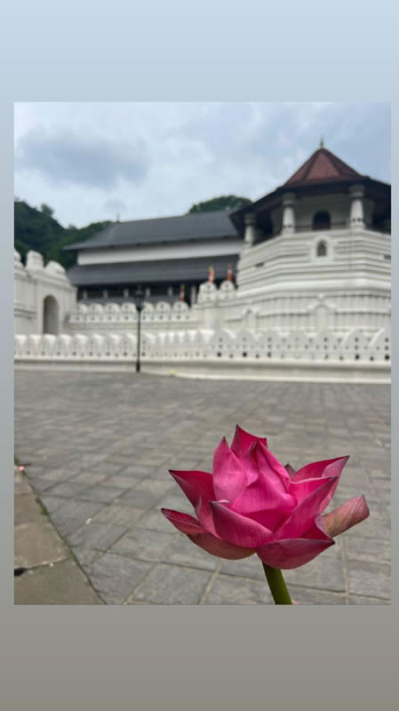 WhatsApp Image 2026-02-04 at 1.27.09 PM